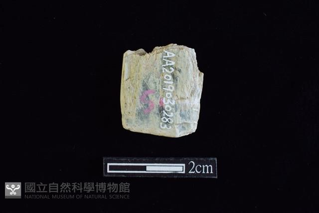 錛鑿形器藏品圖，第2張