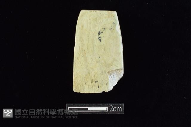 錛鑿形器藏品圖，第2張