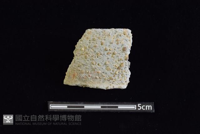 陶罐藏品圖，第1張