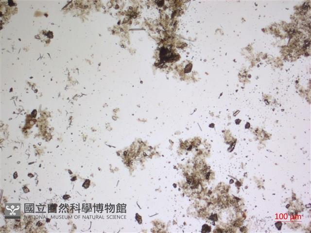 登錄號:A00004483藏品圖，第2張
