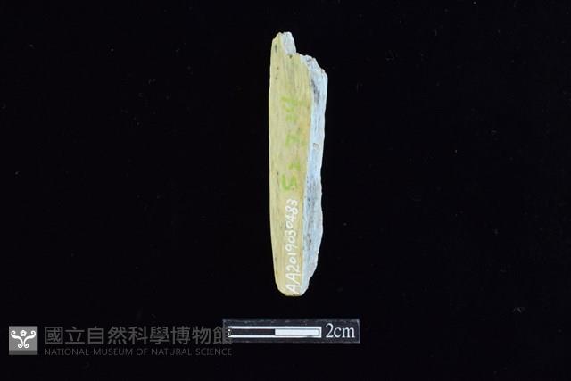 錛鑿形器藏品圖，第2張