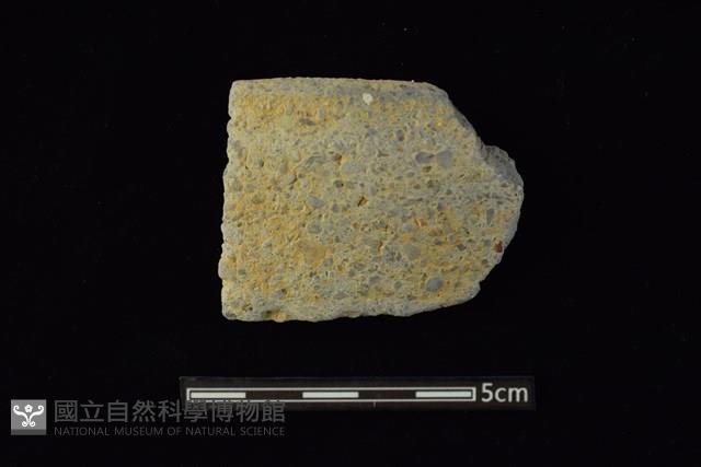 陶片藏品圖，第1張