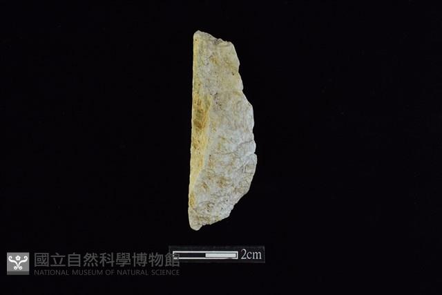 錛鑿形器藏品圖，第2張