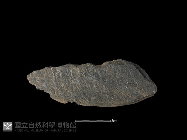 石片器藏品圖，第1張
