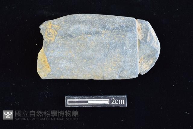 網墜藏品圖，第1張