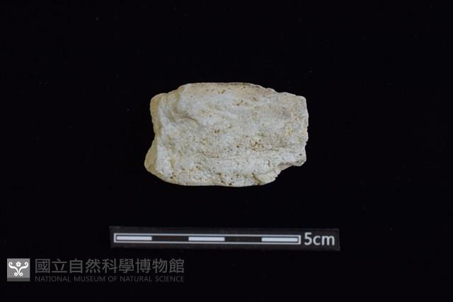 石器殘件藏品圖，第1張