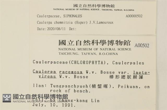 登錄號:A00000502藏品圖，第2張