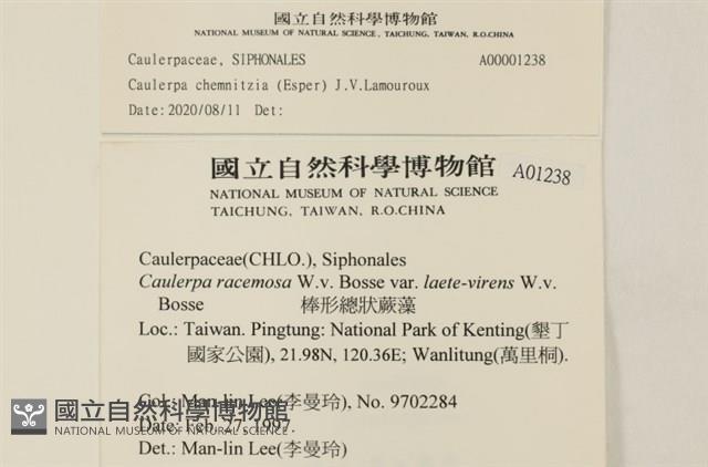 登錄號:A00001238藏品圖，第2張