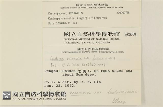 登錄號:A00000768藏品圖，第2張