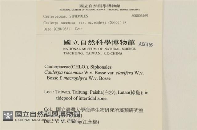 登錄號:A00006169藏品圖，第2張