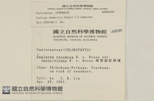 登錄號:A00000369藏品圖，第2張