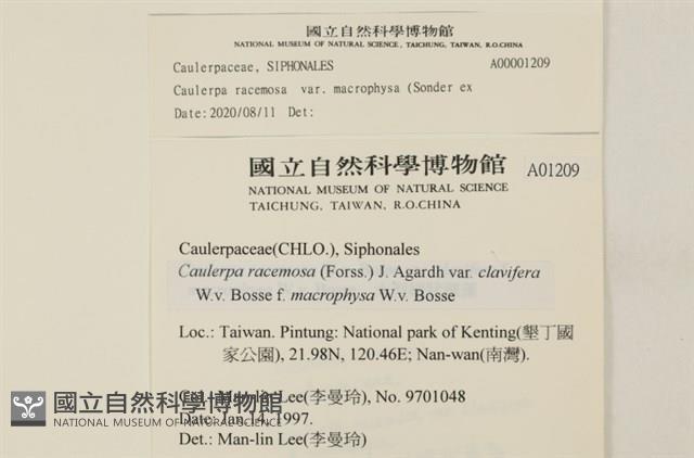 館號:A00001209藏品圖，第2張
