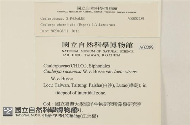 登錄號:A00002289藏品圖，第2張