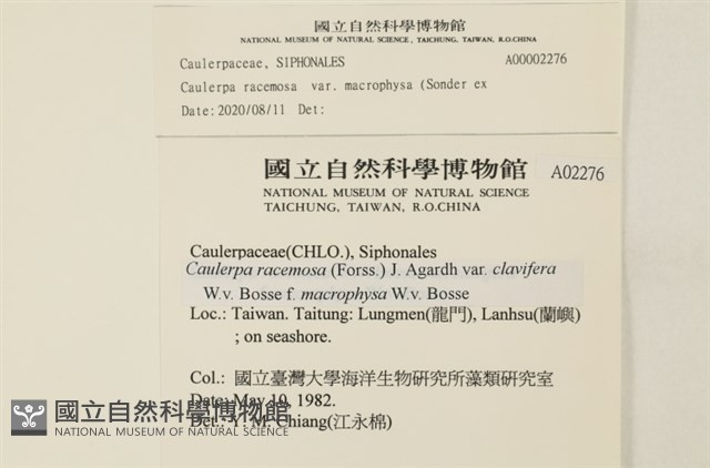 登錄號:A00002276藏品圖，第2張