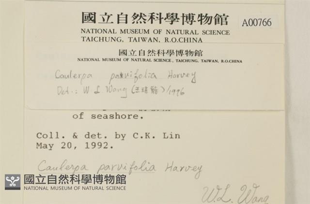 登錄號:A00000766藏品圖，第2張