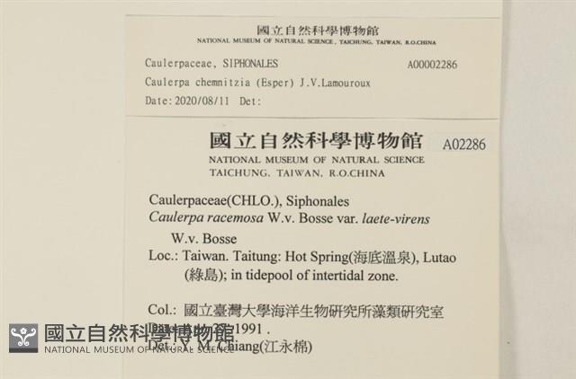 登錄號:A00002286藏品圖，第2張