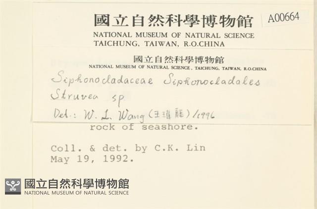 登錄號:A00000664藏品圖，第2張