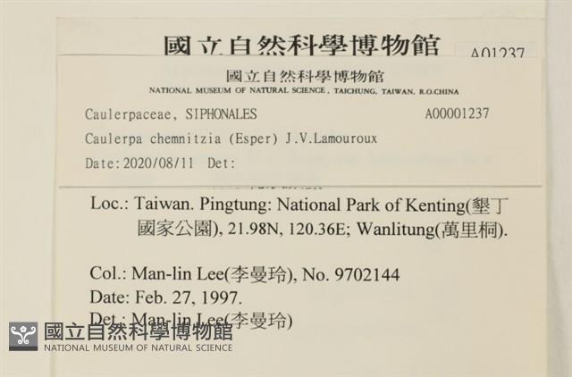 登錄號:A00001237藏品圖，第2張