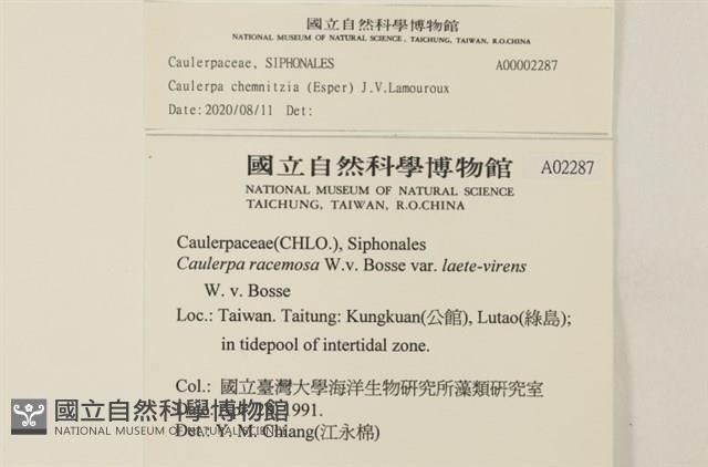 登錄號:A00002287藏品圖，第2張