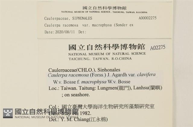 登錄號:A00002275藏品圖，第2張