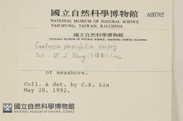 登錄號:A00000765藏品圖，第2張