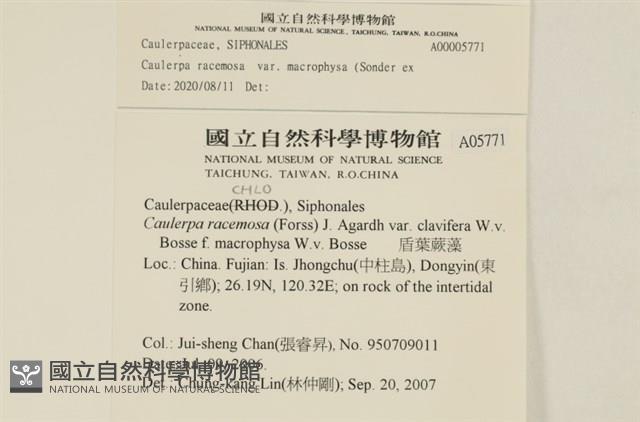 登錄號:A00005771藏品圖，第2張