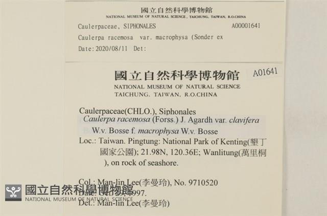 登錄號:A00001641藏品圖，第2張