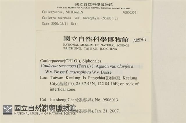 登錄號:A00005561藏品圖，第2張