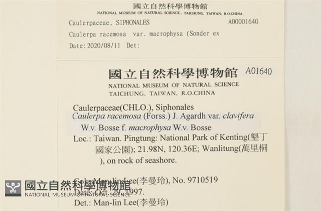 登錄號:A00001640藏品圖，第2張