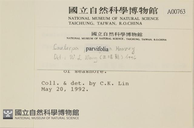 登錄號:A00000763藏品圖，第2張