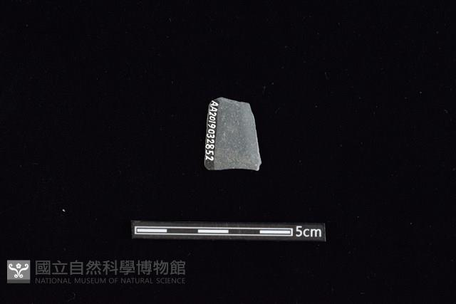 矛鏃形器藏品圖，第2張