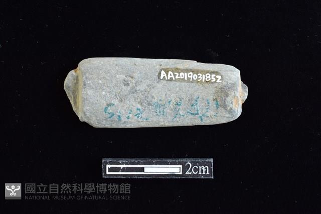 網墜藏品圖，第2張