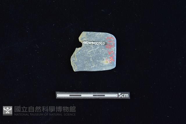 Accession Number:AA2019032922 Collection Image, Figure 2, Total 2 Figures