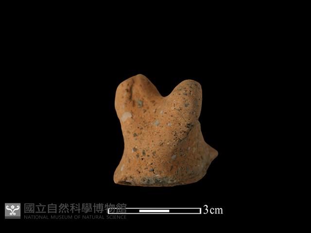 陶蓋鈕藏品圖，第2張