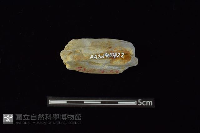 石材藏品圖，第2張