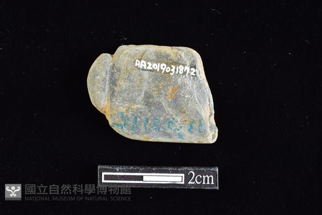 網墜藏品圖，第2張