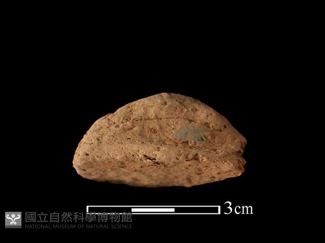 陶耳藏品圖，第2張