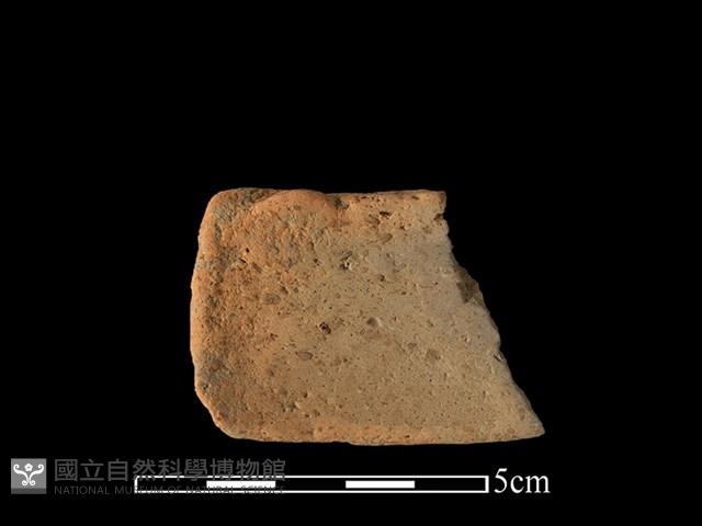 陶片藏品圖，第2張