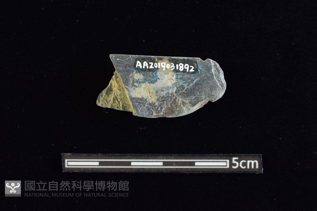 網墜藏品圖，第2張