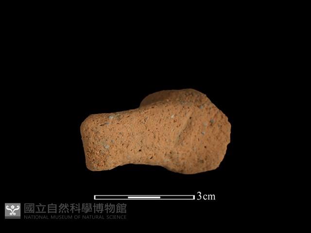 陶把藏品圖，第2張