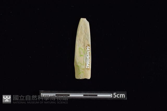 矛鏃形器藏品圖，第2張