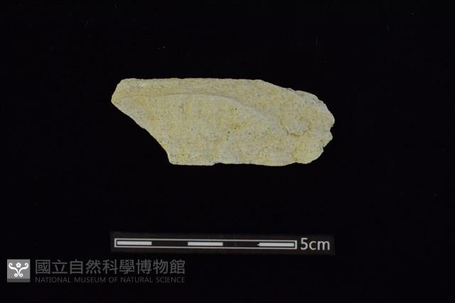 石刀藏品圖，第2張