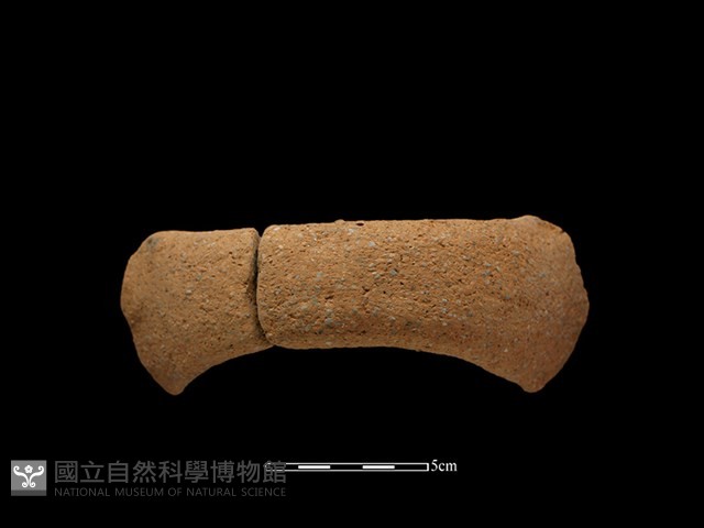 陶把藏品圖，第2張