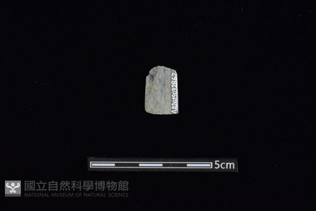 矛鏃形器藏品圖，第2張