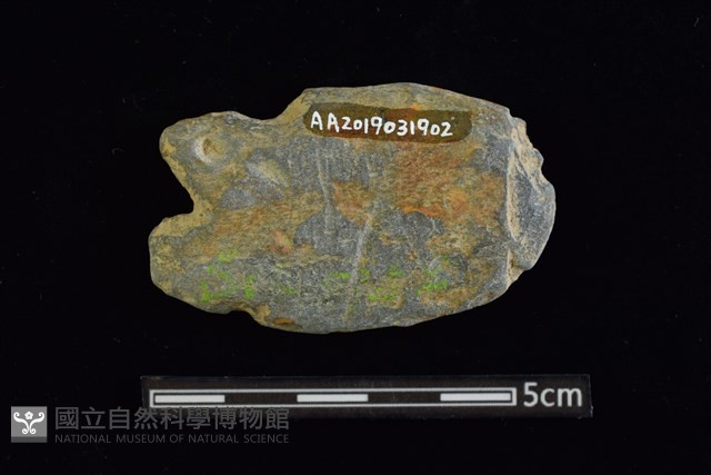 網墜藏品圖，第2張