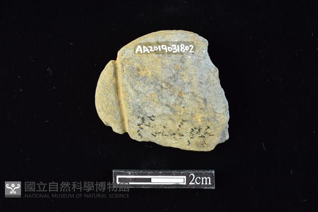 網墜藏品圖，第2張