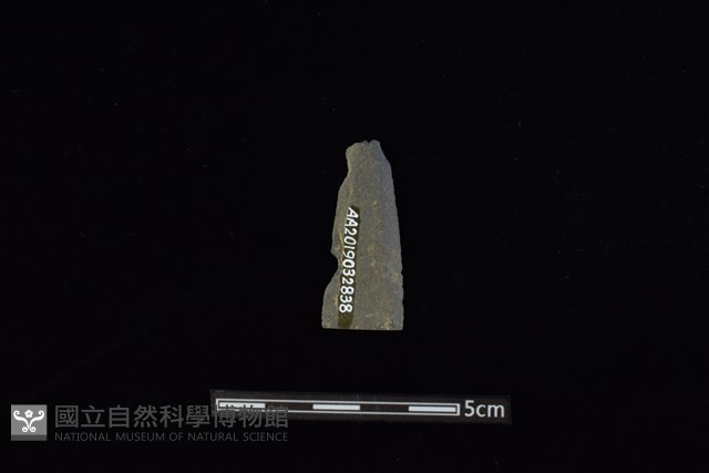矛鏃形器藏品圖，第2張