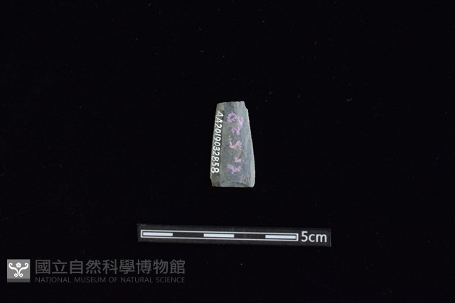 矛鏃形器藏品圖，第2張