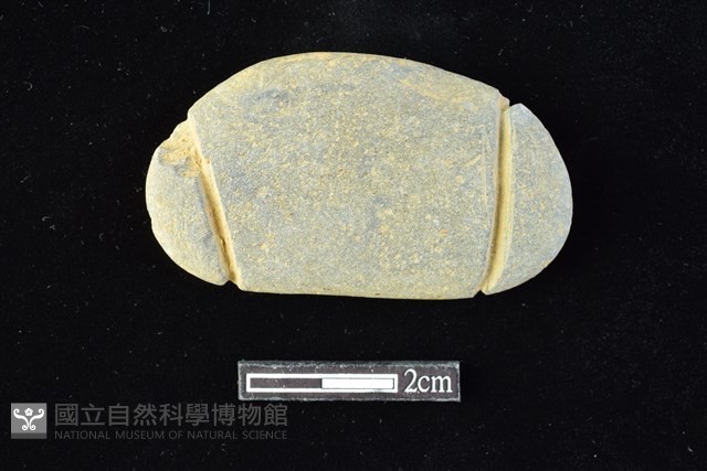 網墜藏品圖，第2張