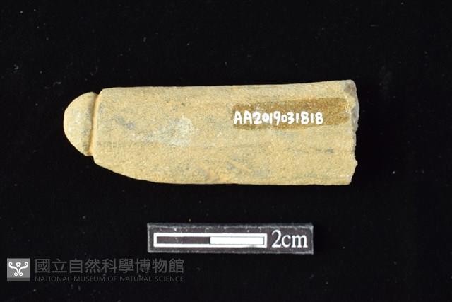 網墜藏品圖，第2張